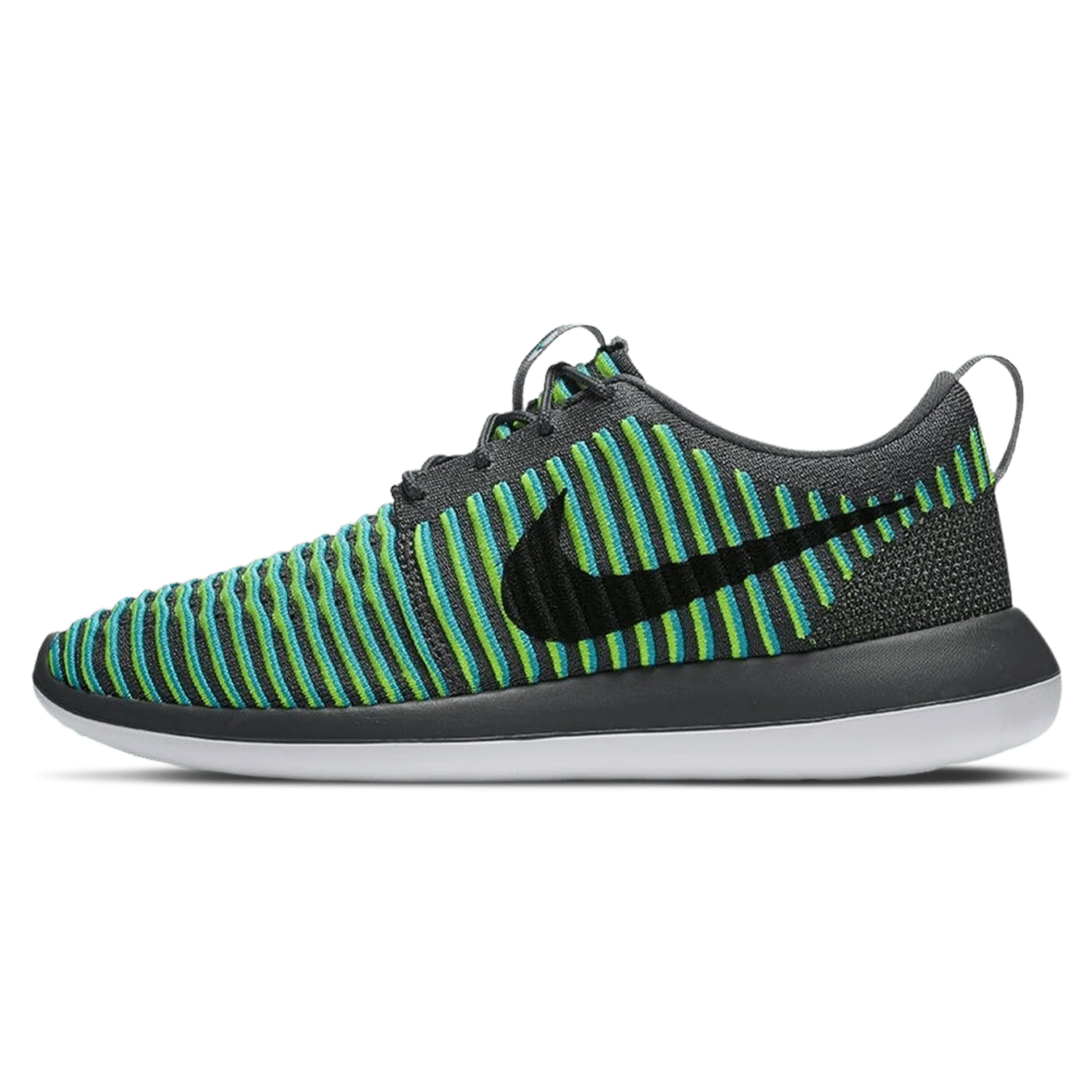 Nike Roshe Two Flyknit